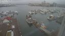 ./images/victoria/wharf/20240227/wharf20240227_165501.jpg
