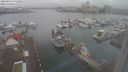 ./images/victoria/wharf/20240227/wharf20240227_171000.jpg