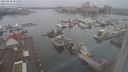 ./images/victoria/wharf/20240228/wharf20240228_081000.jpg