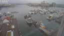 ./images/victoria/wharf/20240228/wharf20240228_081500.jpg