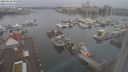 ./images/victoria/wharf/20240228/wharf20240228_083500.jpg