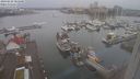 ./images/victoria/wharf/20240228/wharf20240228_085000.jpg