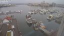 ./images/victoria/wharf/20240228/wharf20240228_085501.jpg