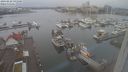 ./images/victoria/wharf/20240228/wharf20240228_091000.jpg
