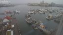 ./images/victoria/wharf/20240228/wharf20240228_094501.jpg