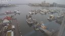 ./images/victoria/wharf/20240228/wharf20240228_101501.jpg