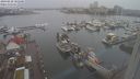 ./images/victoria/wharf/20240228/wharf20240228_105500.jpg