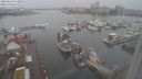 ./images/victoria/wharf/20240228/wharf20240228_111000.jpg