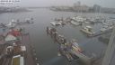 ./images/victoria/wharf/20240228/wharf20240228_123000.jpg