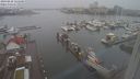 ./images/victoria/wharf/20240228/wharf20240228_125500.jpg