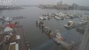 ./images/victoria/wharf/20240228/wharf20240228_131500.jpg