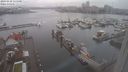 ./images/victoria/wharf/20240228/wharf20240228_135500.jpg