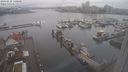 ./images/victoria/wharf/20240228/wharf20240228_140000.jpg