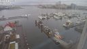 ./images/victoria/wharf/20240228/wharf20240228_141001.jpg