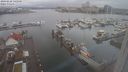 ./images/victoria/wharf/20240228/wharf20240228_145500.jpg