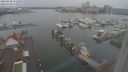 ./images/victoria/wharf/20240228/wharf20240228_153500.jpg