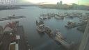 ./images/victoria/wharf/20240229/wharf20240229_072500.jpg