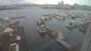 ./images/victoria/wharf/20240229/wharf20240229_080500.jpg