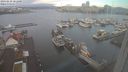 ./images/victoria/wharf/20240229/wharf20240229_081000.jpg