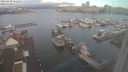 ./images/victoria/wharf/20240229/wharf20240229_081500.jpg
