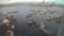 ./images/victoria/wharf/20240229/wharf20240229_083000.jpg