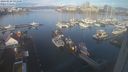 ./images/victoria/wharf/20240229/wharf20240229_091500.jpg