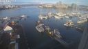 ./images/victoria/wharf/20240229/wharf20240229_092500.jpg