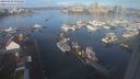 ./images/victoria/wharf/20240229/wharf20240229_093500.jpg
