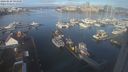 ./images/victoria/wharf/20240229/wharf20240229_094000.jpg