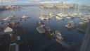 ./images/victoria/wharf/20240229/wharf20240229_095001.jpg