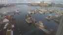 ./images/victoria/wharf/20240229/wharf20240229_103000.jpg