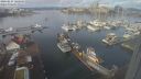 ./images/victoria/wharf/20240229/wharf20240229_110000.jpg