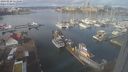 ./images/victoria/wharf/20240229/wharf20240229_111500.jpg