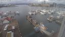 ./images/victoria/wharf/20240229/wharf20240229_123501.jpg