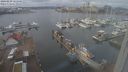 ./images/victoria/wharf/20240229/wharf20240229_125000.jpg