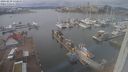 ./images/victoria/wharf/20240229/wharf20240229_132500.jpg