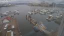 ./images/victoria/wharf/20240229/wharf20240229_140500.jpg