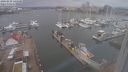 ./images/victoria/wharf/20240229/wharf20240229_144500.jpg