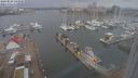 ./images/victoria/wharf/20240229/wharf20240229_145000.jpg