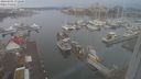 ./images/victoria/wharf/20240301/wharf20240301_072500.jpg