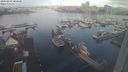 ./images/victoria/wharf/20240301/wharf20240301_084000.jpg