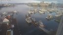 ./images/victoria/wharf/20240301/wharf20240301_085000.jpg