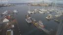 ./images/victoria/wharf/20240301/wharf20240301_093501.jpg