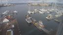 ./images/victoria/wharf/20240301/wharf20240301_094500.jpg