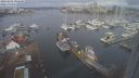 ./images/victoria/wharf/20240301/wharf20240301_095001.jpg