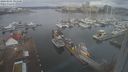 ./images/victoria/wharf/20240301/wharf20240301_095500.jpg