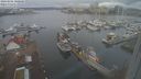 ./images/victoria/wharf/20240301/wharf20240301_100000.jpg