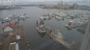 ./images/victoria/wharf/20240301/wharf20240301_101500.jpg