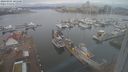 ./images/victoria/wharf/20240301/wharf20240301_105501.jpg