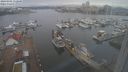./images/victoria/wharf/20240301/wharf20240301_112000.jpg